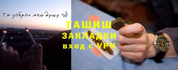 PSILOCYBIN Бронницы